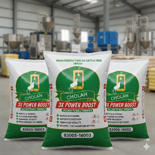 3X POWER BOOSTER