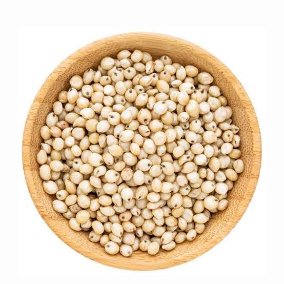 வெள்ளை சோளம்
