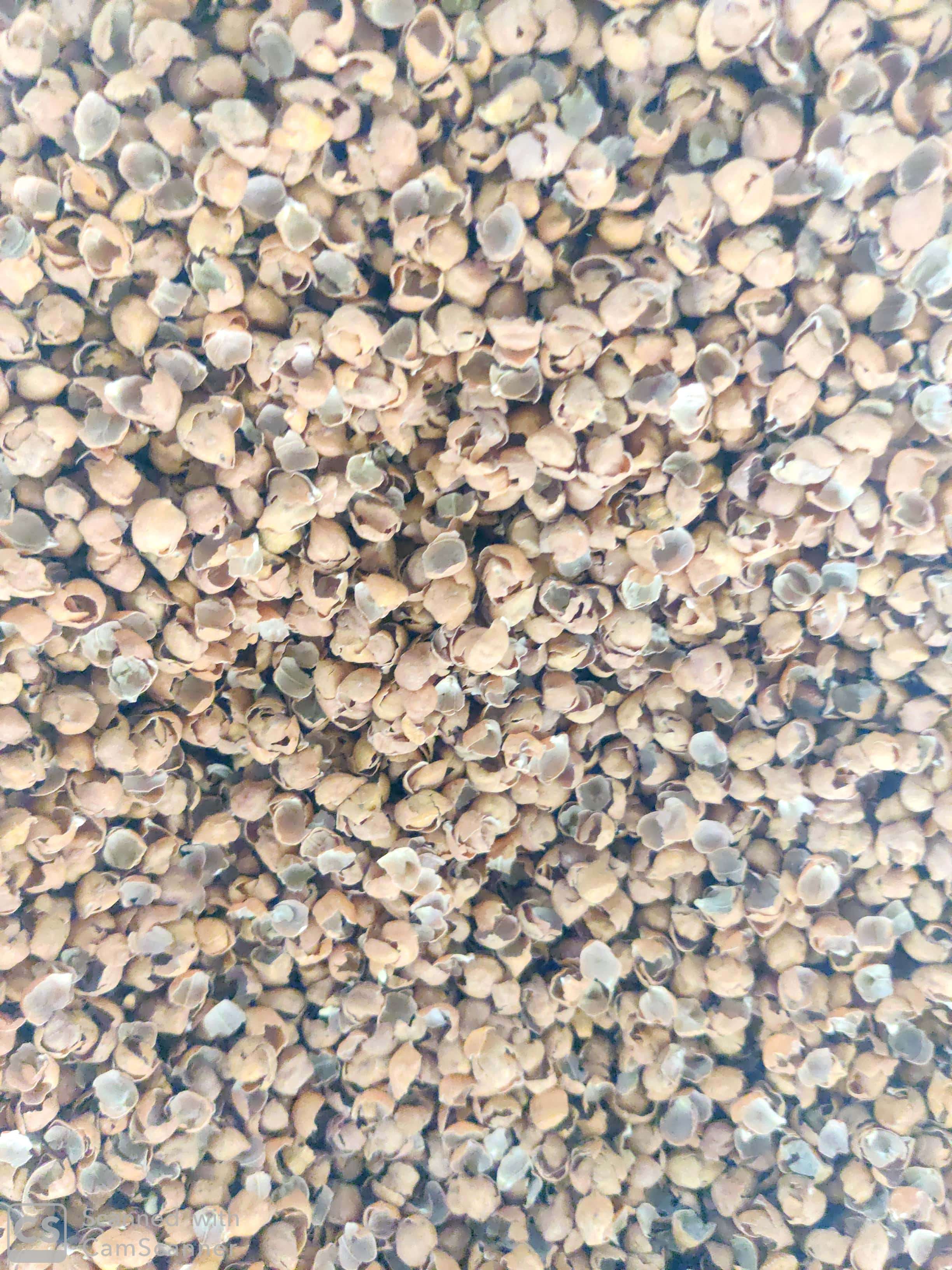 கொண்டை வறு கடலை