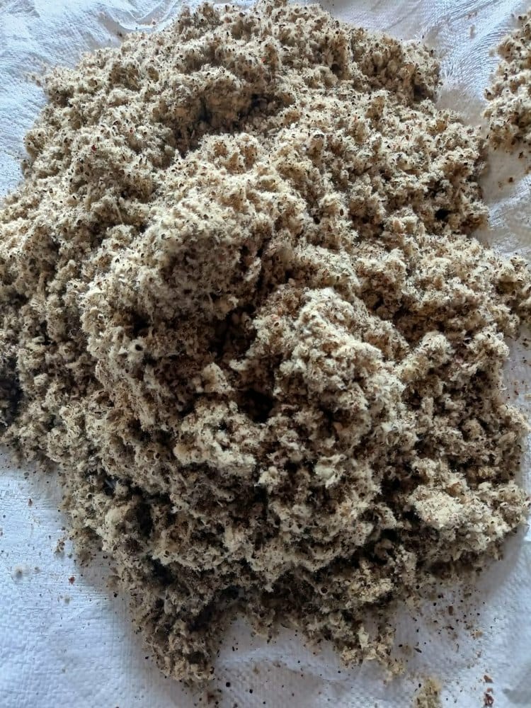 பெரிய பருத்தி அரைத்தது