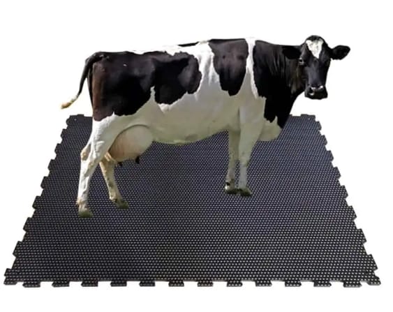 COW MAT