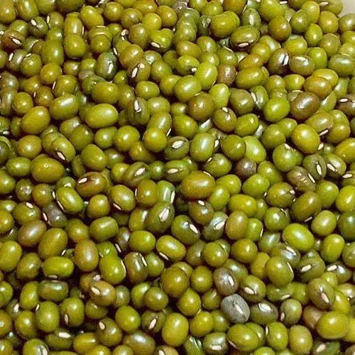 பாசி
